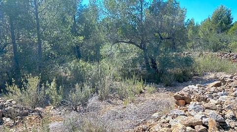 Photo 5 of Residential for sale in Carrratillana, Roques Daurades - L'Estany, Tarragona