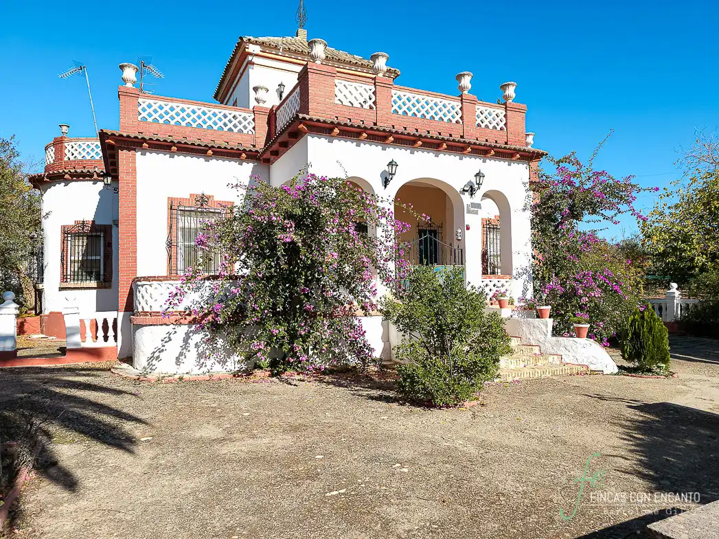 Exterior view of Country homes for sale in Puente Genil  with Terrace and Swimming Pool
