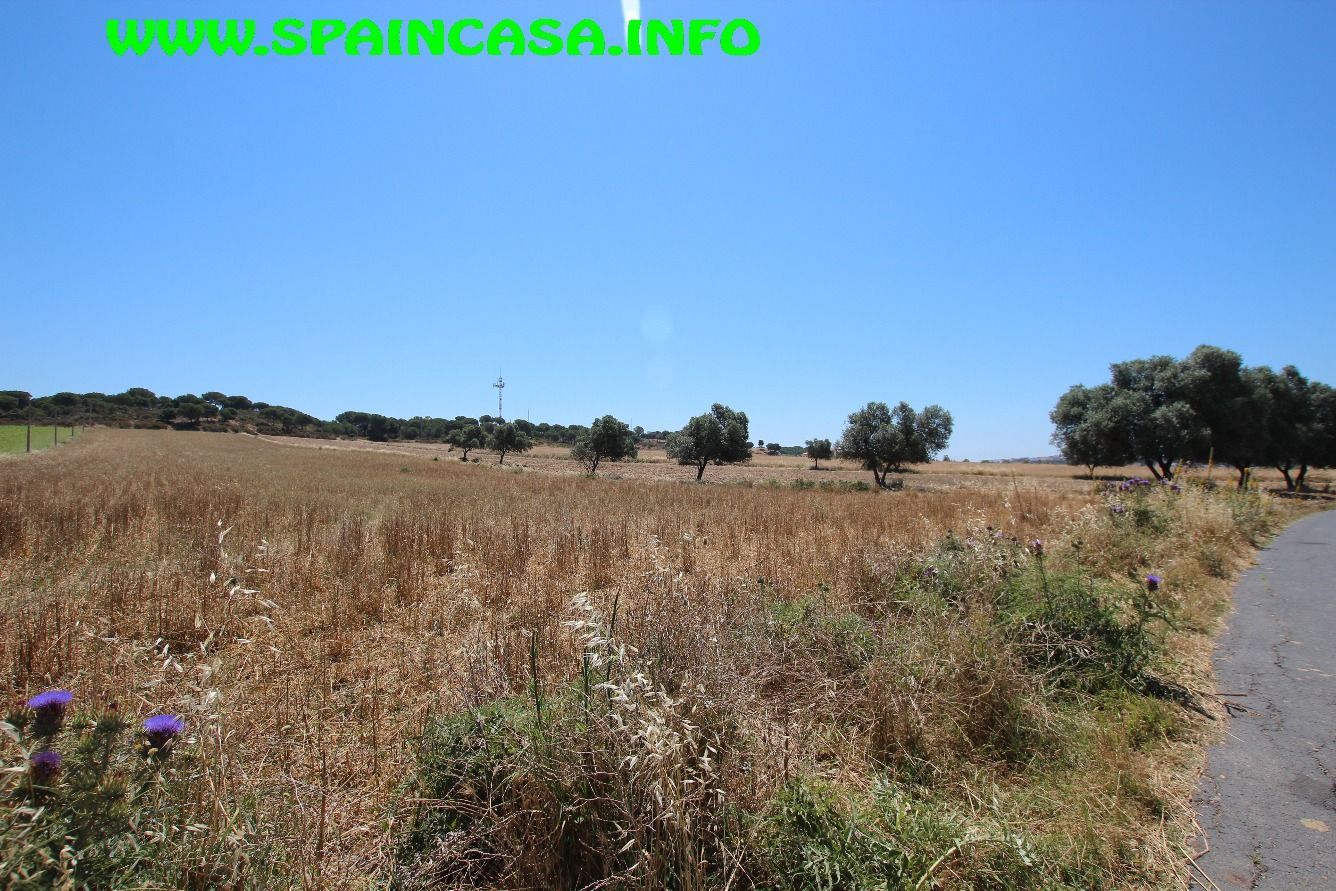 Land for sale in Núcleo urbano, Aljaraque