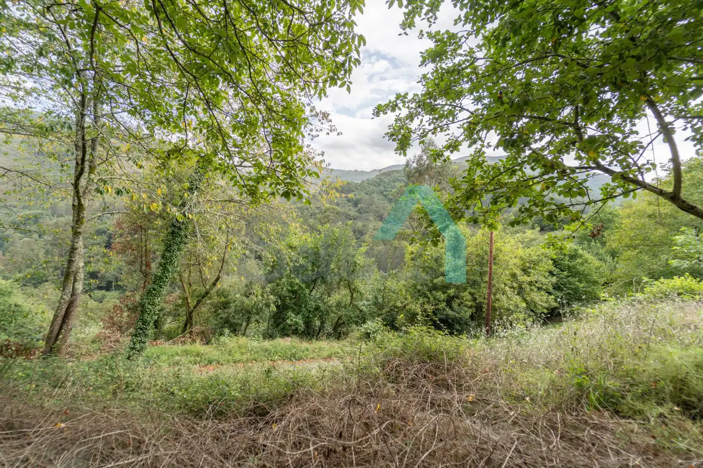 Habitatge amb jardí en venda a Arcallana, imagen 59