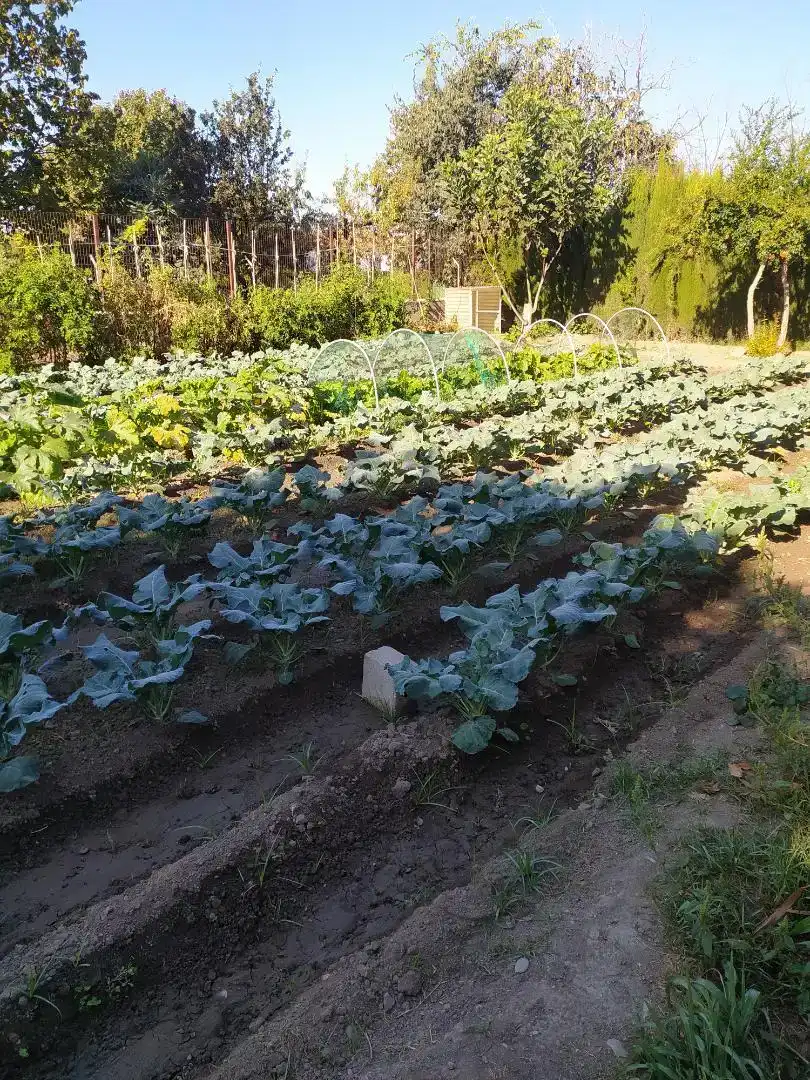 Jardí de Finca rústica en venda en  Granada Capital