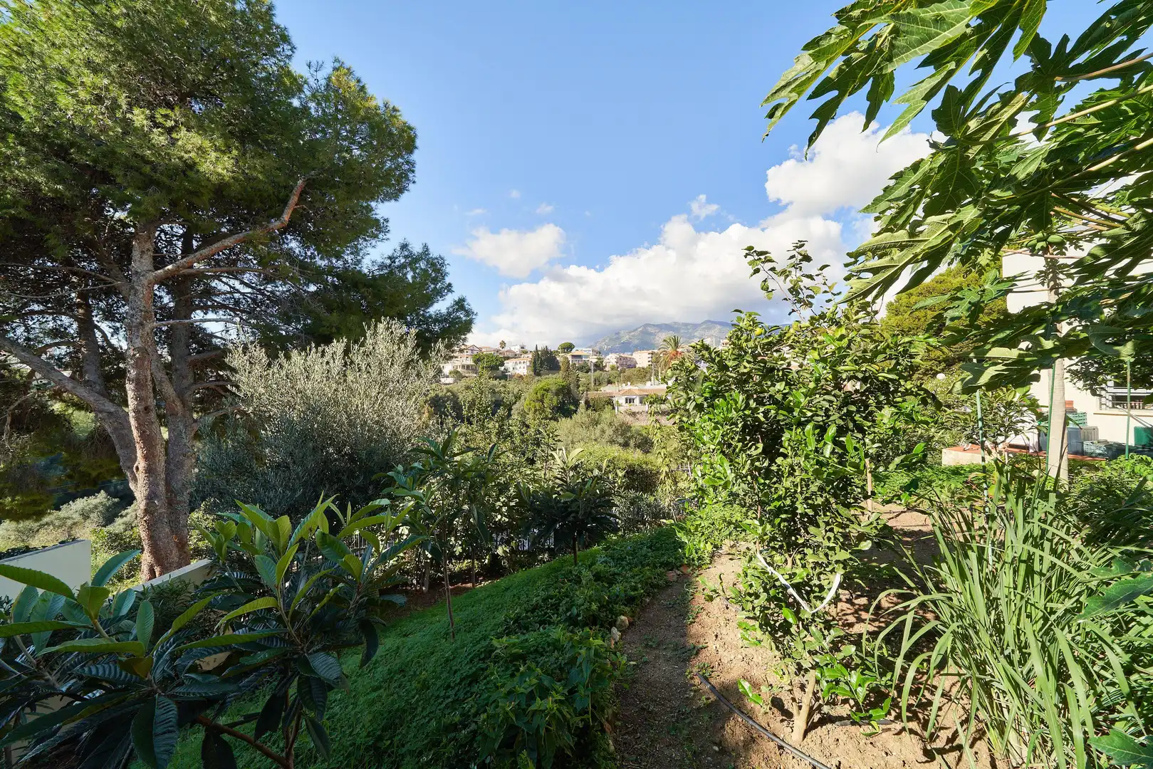 Garden of Houses for sale in Fuengirola  with Private garden, Alarm and Community pool