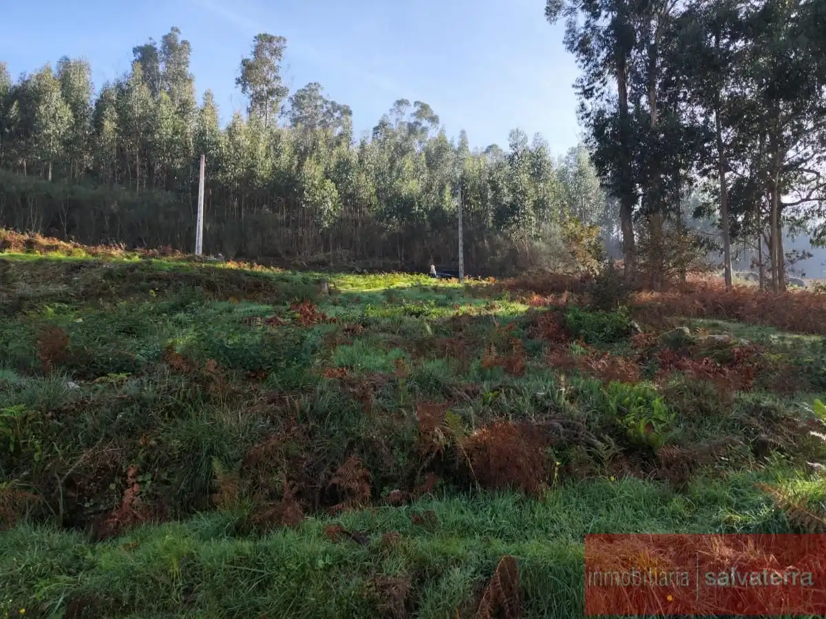 Residential land for sale in As Neves, imagen 6