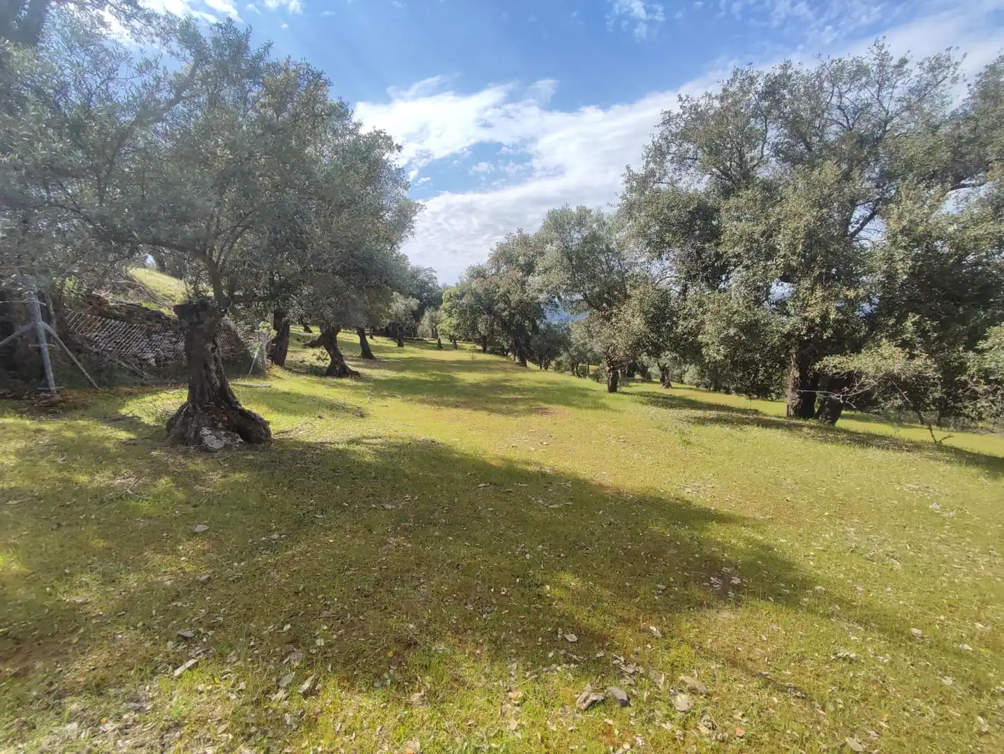 Terreni e lotti in vendita a Miralvalle - Av. Virgen del Puerto - La Data, imagen 10