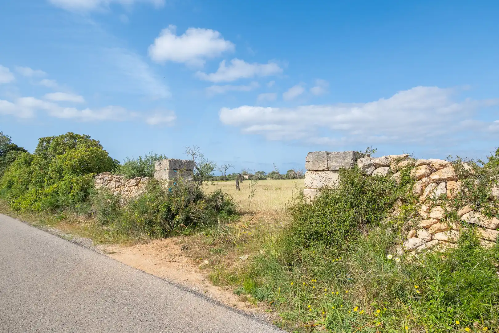 Terreno rustico in vendita a Llucmajor pueblo, imagen 10