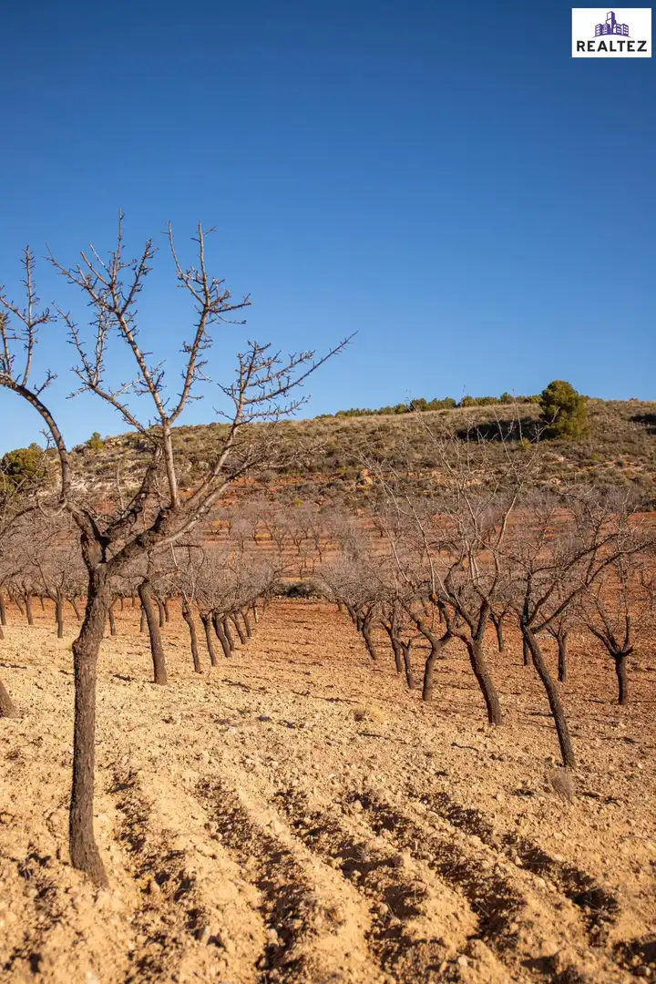 Terrain rustique à vendre à Alcolea, imagen 11