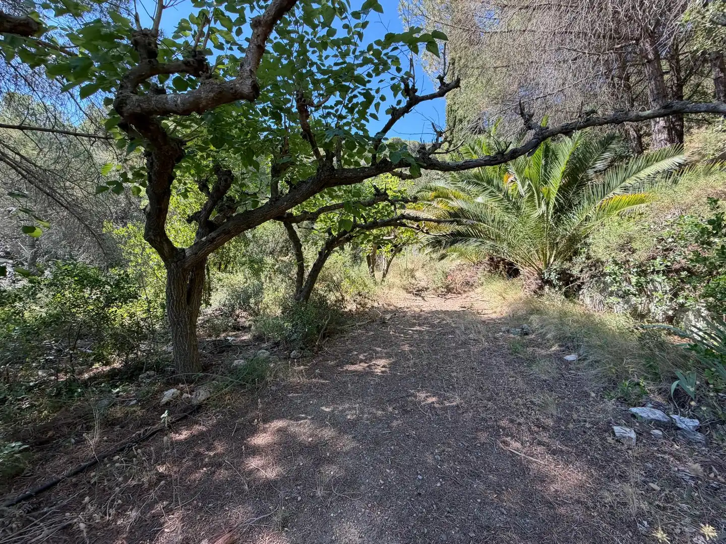 Country house with pool for sale in Cami de La Pedrera, imagen 33