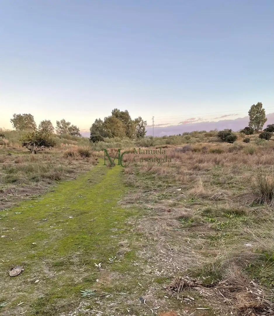 Finca rústica en venda en Mérida