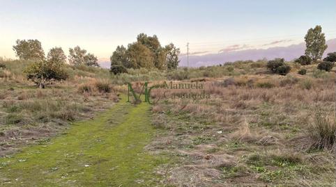 Foto 5 de Finca rústica en venta