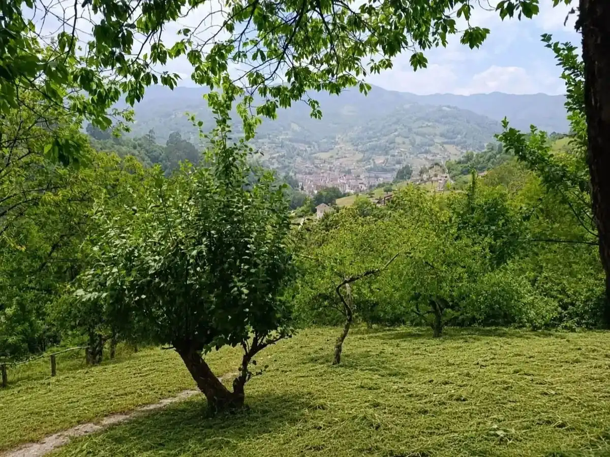 Vista exterior de Casa o xalet en venda en San Martín del Rey Aurelio amb Terrassa i Balcó