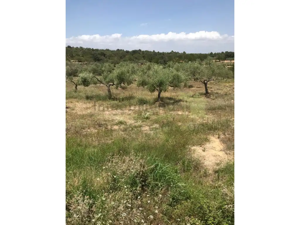 Casa amb piscina en venda a San Jorge / Sant Jordi, imagen 39