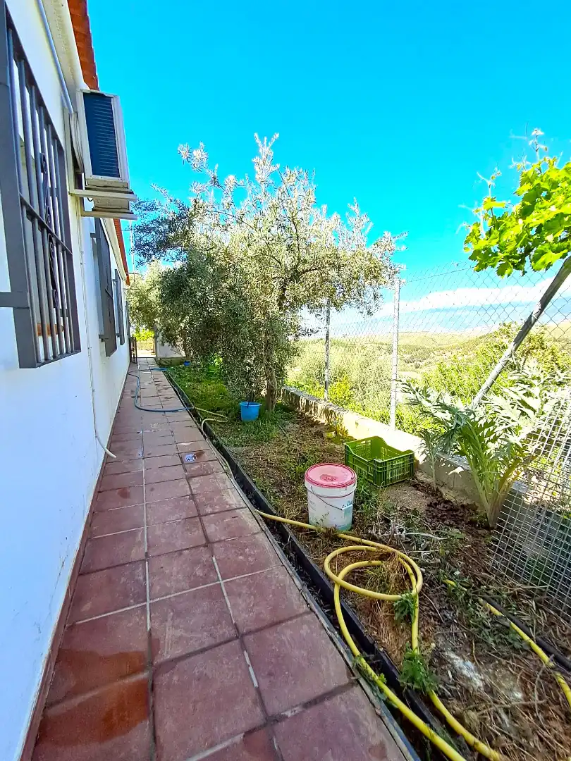 Jardí de Finca rústica en venda en Alcolea amb Aire condicionat, Jardí privat i Piscina