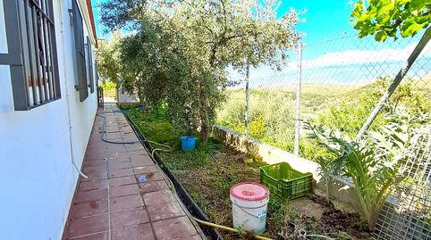 Foto 5 de Finca rústica en venda a Alcolea, Almería