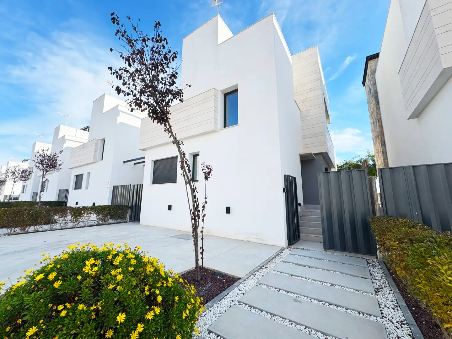 Vista exterior de Casa o chalet en venta en Torre-Pacheco con Aire acondicionado, Calefacción y Jardín privado