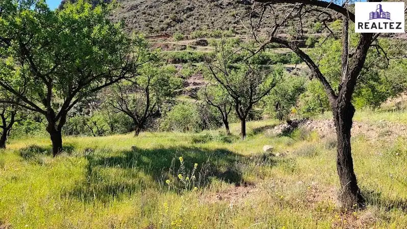 Rural land for sale in Felix, imagen 26