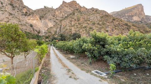 Foto 5 de Terreno en venta en Vélez de Benaudalla, Granada