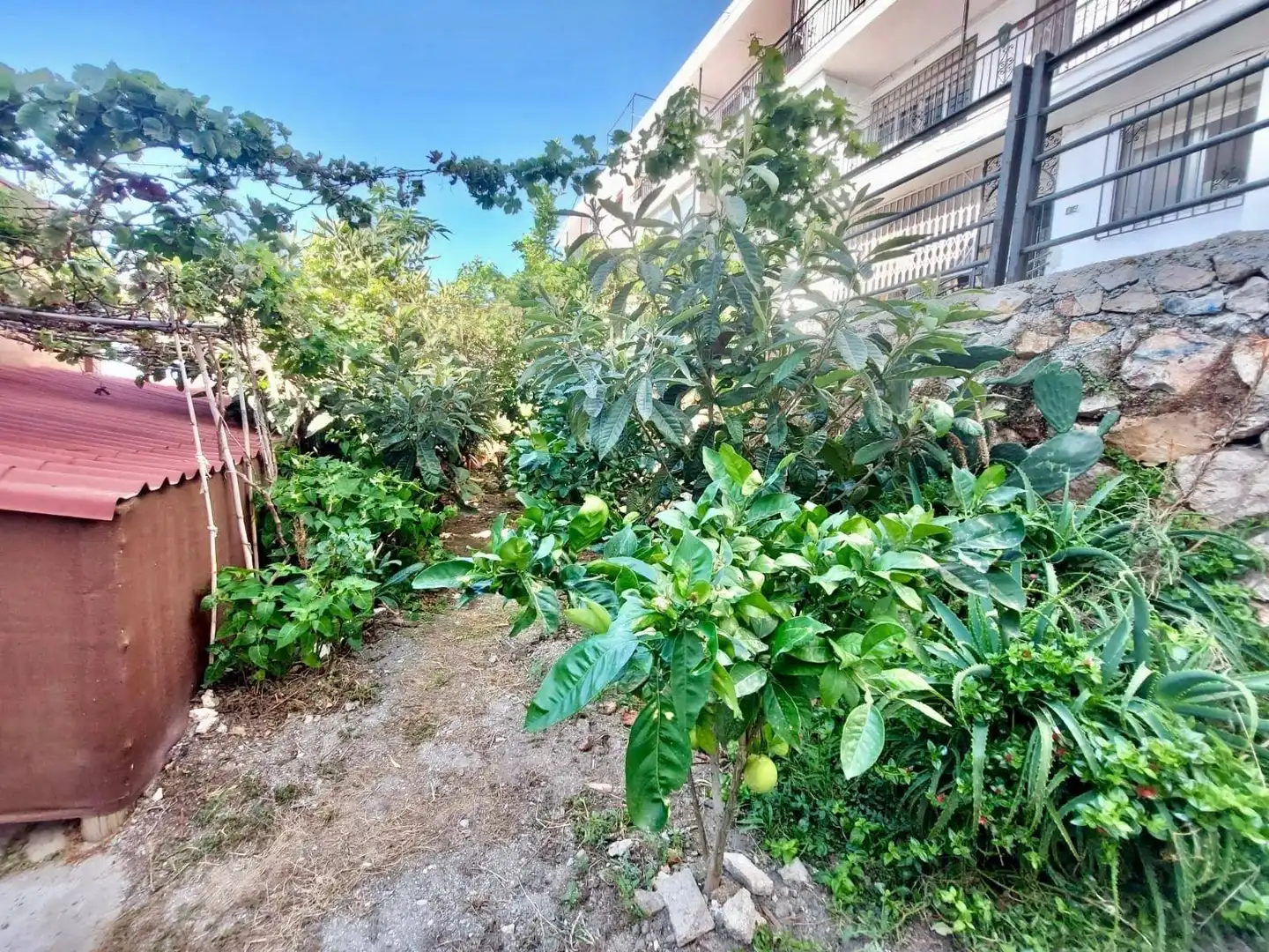 Maison à vendre à Centro, imagen 18