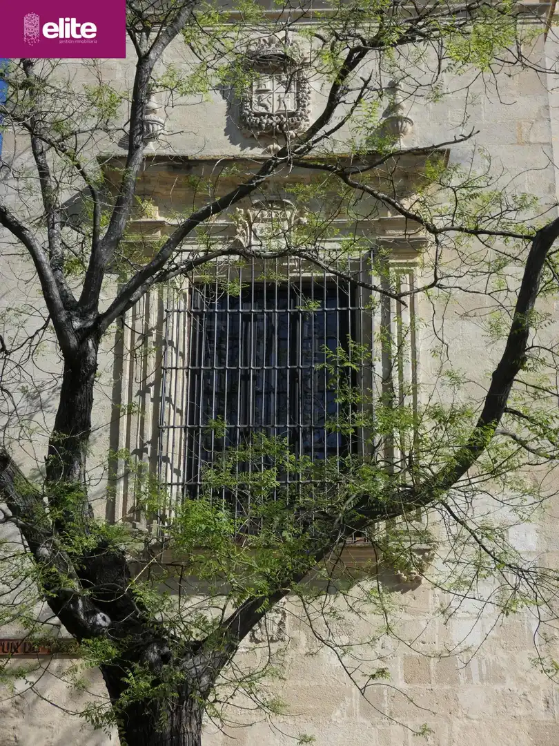 Exterior view of Houses for sale in Jerez de la Frontera