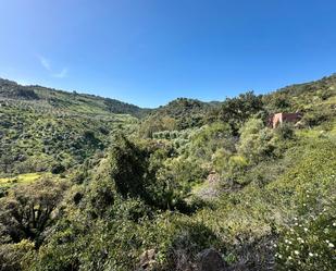 Land for sale in Tolox