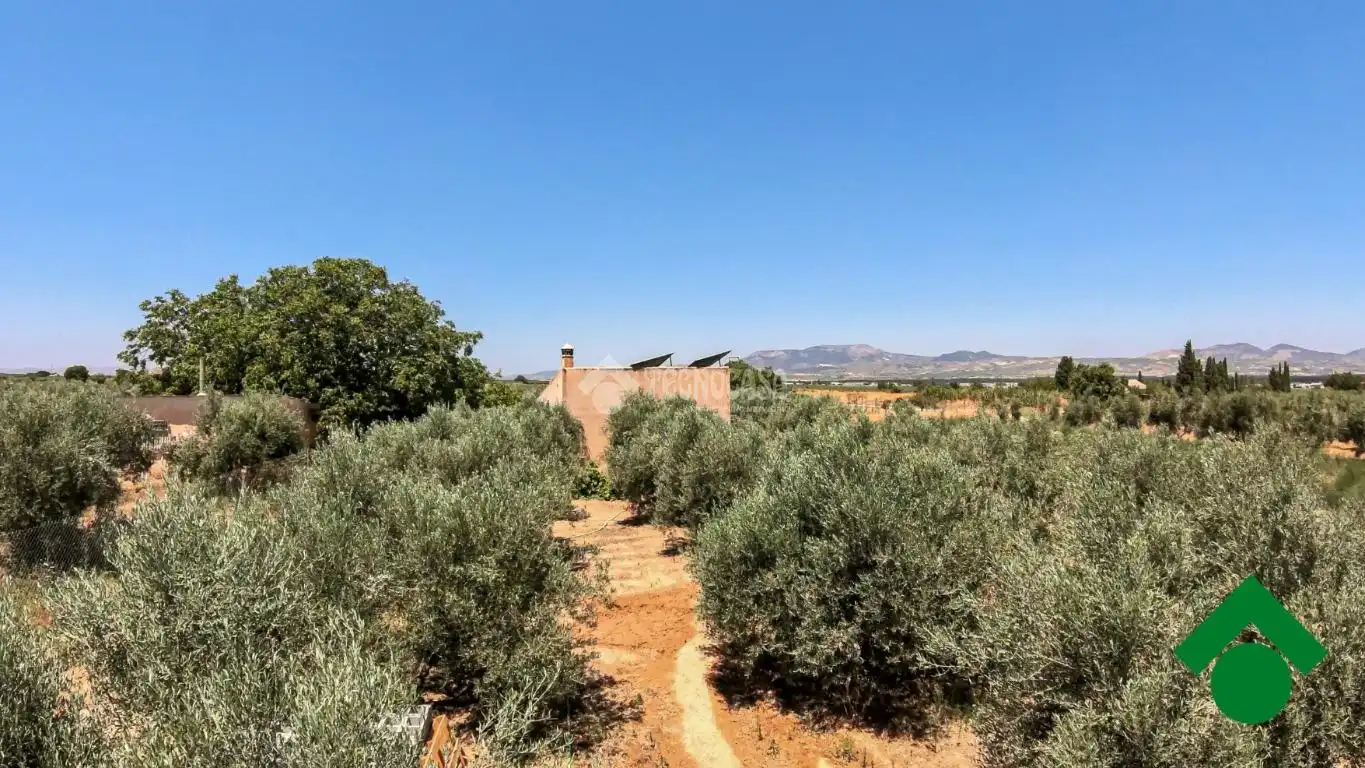 Rustikales Grundstück zum Verkauf in Santa Fe, imagen 14