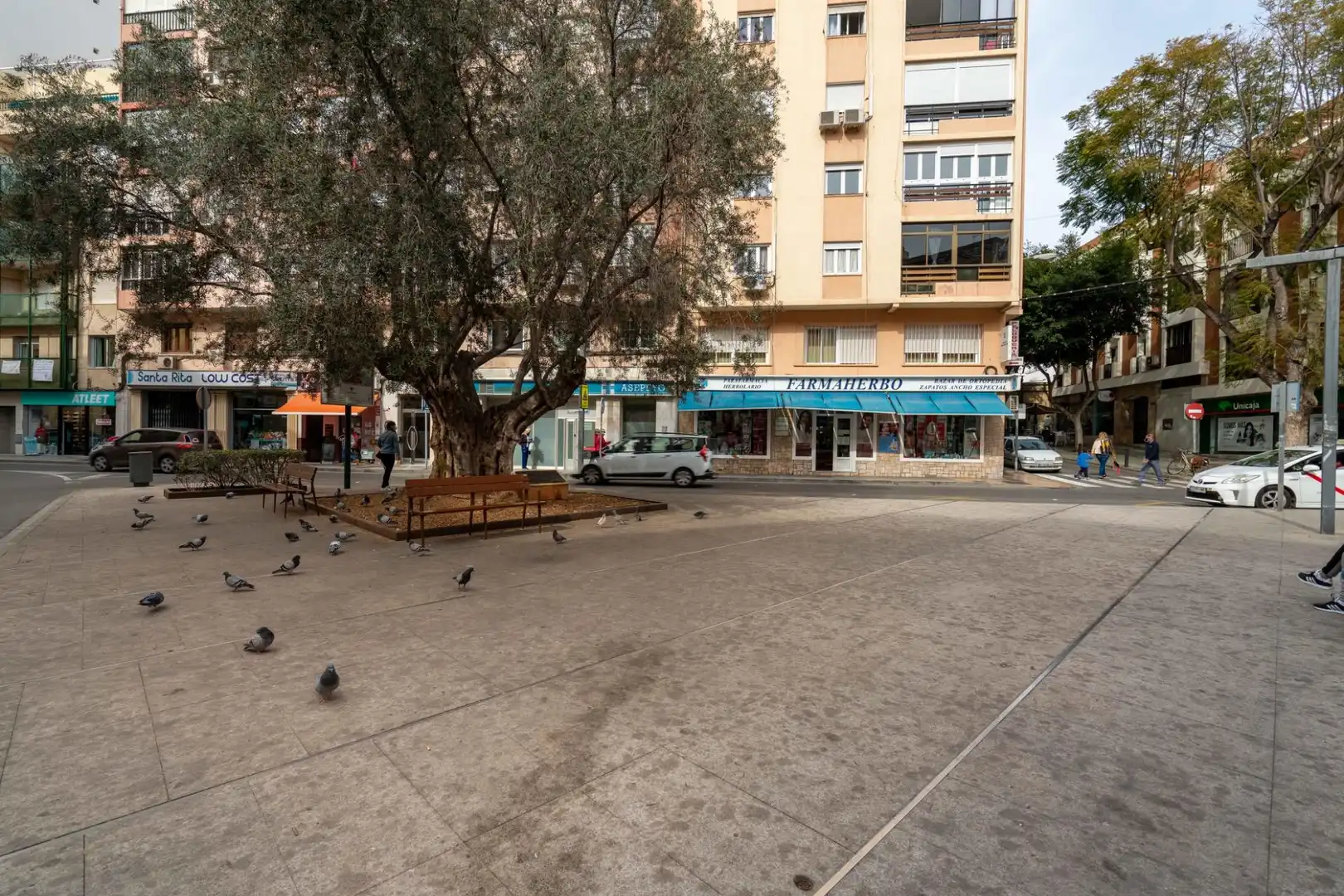 Vista exterior de Casa o xalet en venda en Plaza de Toros - Santa Rita