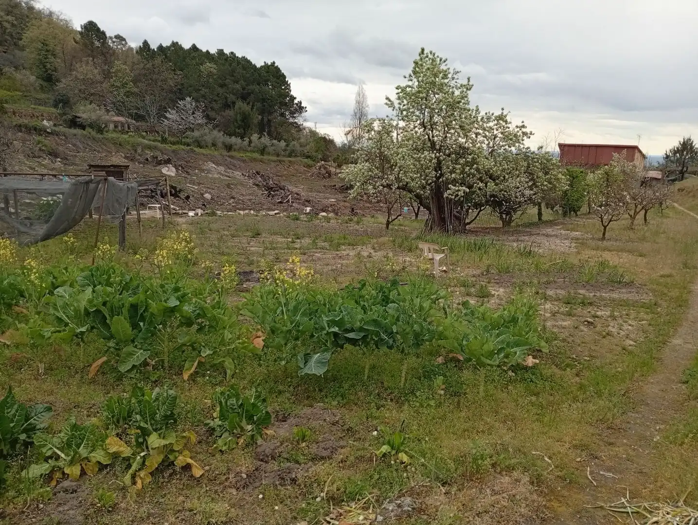 Terreni e lotti in vendita a Villanueva de la Vera, imagen 40