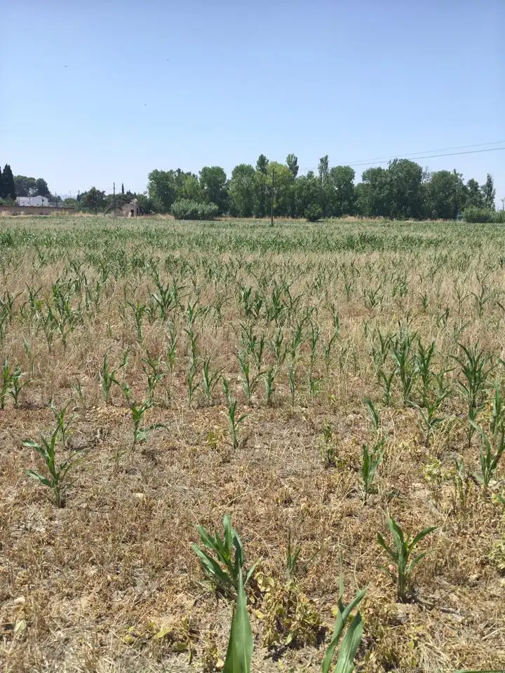 Terreni e lotti in vendita a Camino de Zamoray