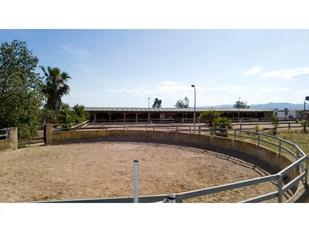 Vista exterior de Casa o chalet en venta en Carlet con Jardín privado, Terraza y Trastero