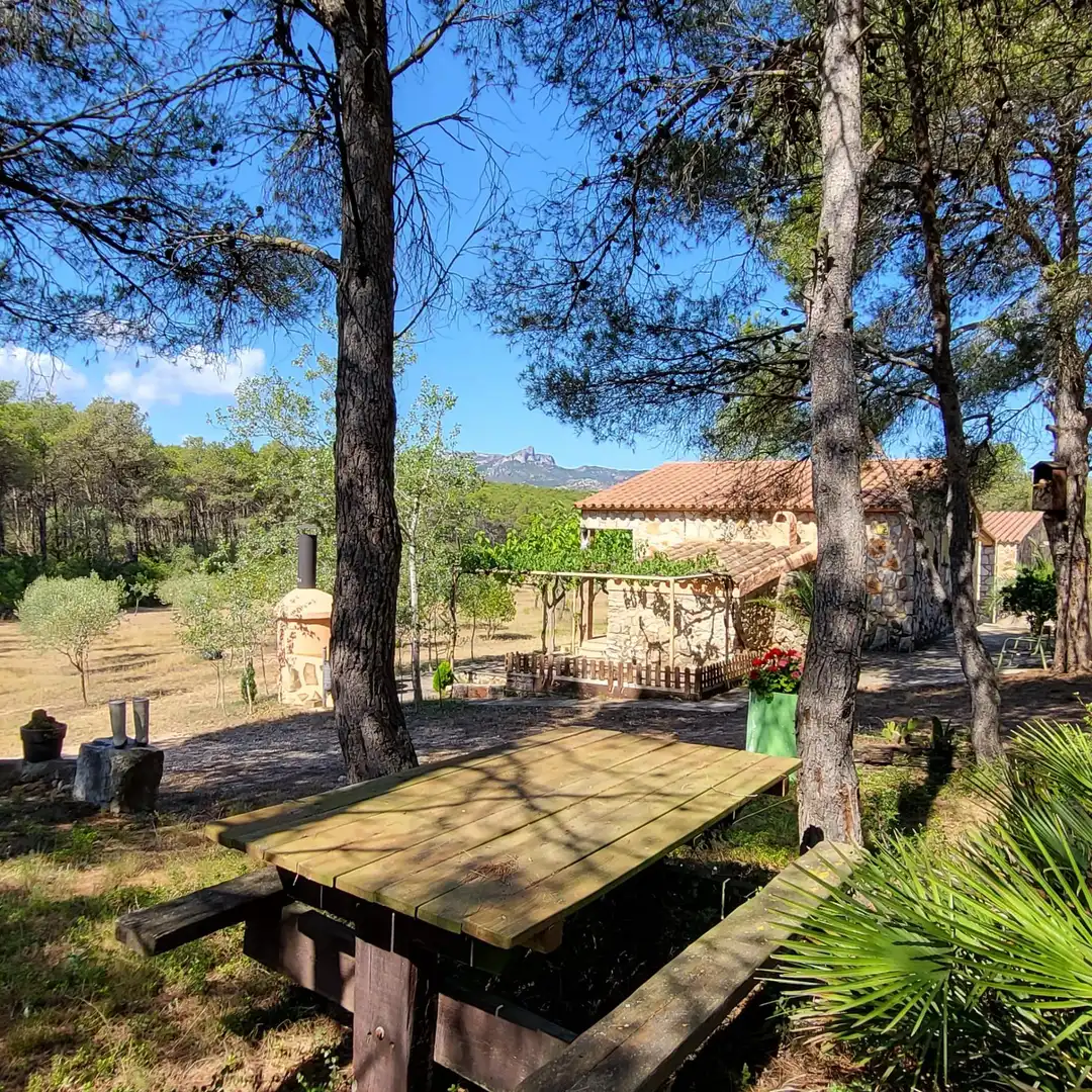 Casa rústica con piscina en venta en El Perelló, imagen 4