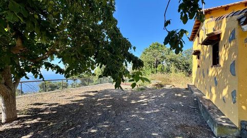 Foto 5 de Finca rústica en venda a La Matanza de Acentejo, Santa Cruz de Tenerife