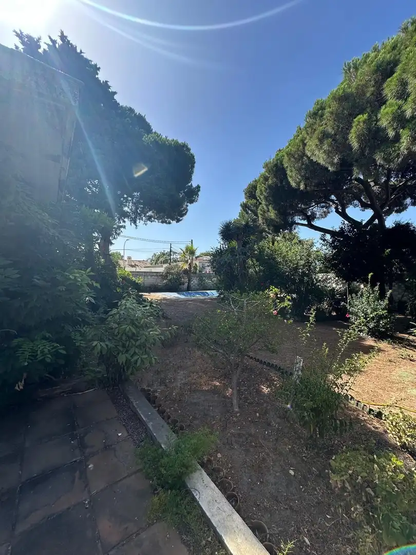 Jardín de Casa o chalet en venta en Algeciras