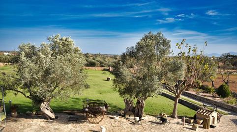 Photo 5 of Country house for sale in 13, 60, Can Picafort, Illes Balears
