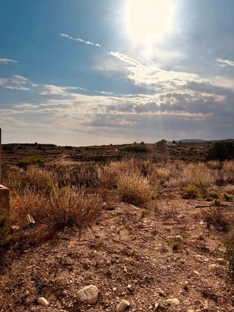 Terrain rustique à vendre à Campo de Murcia, imagen 17