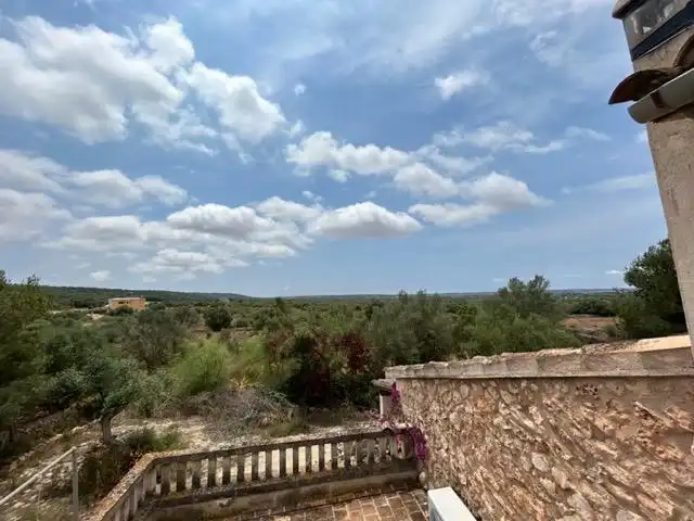 Jardí de Finca rústica en venda en Llucmajor