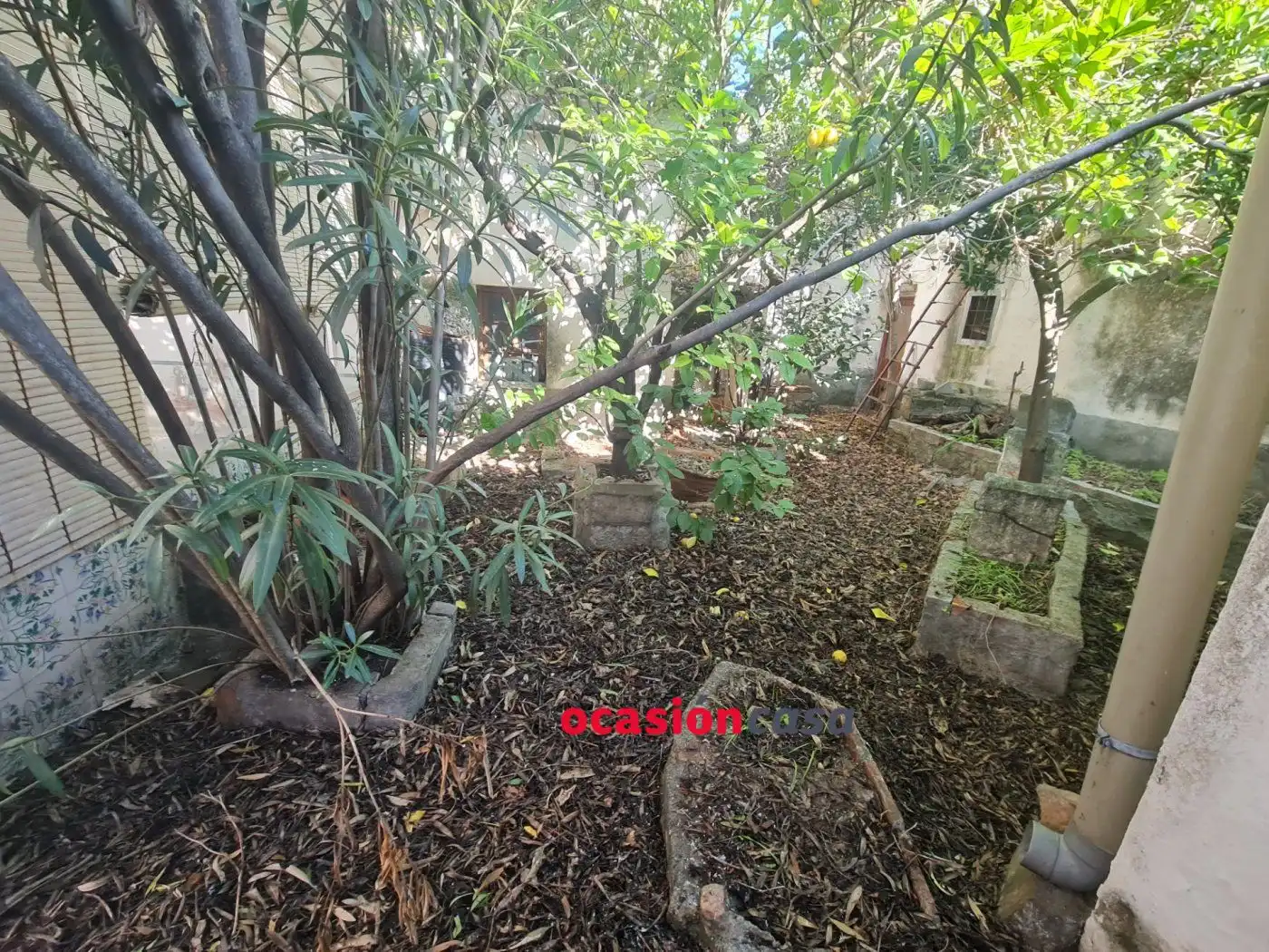 House for sale in Hinojosa del Duque, imagen 6