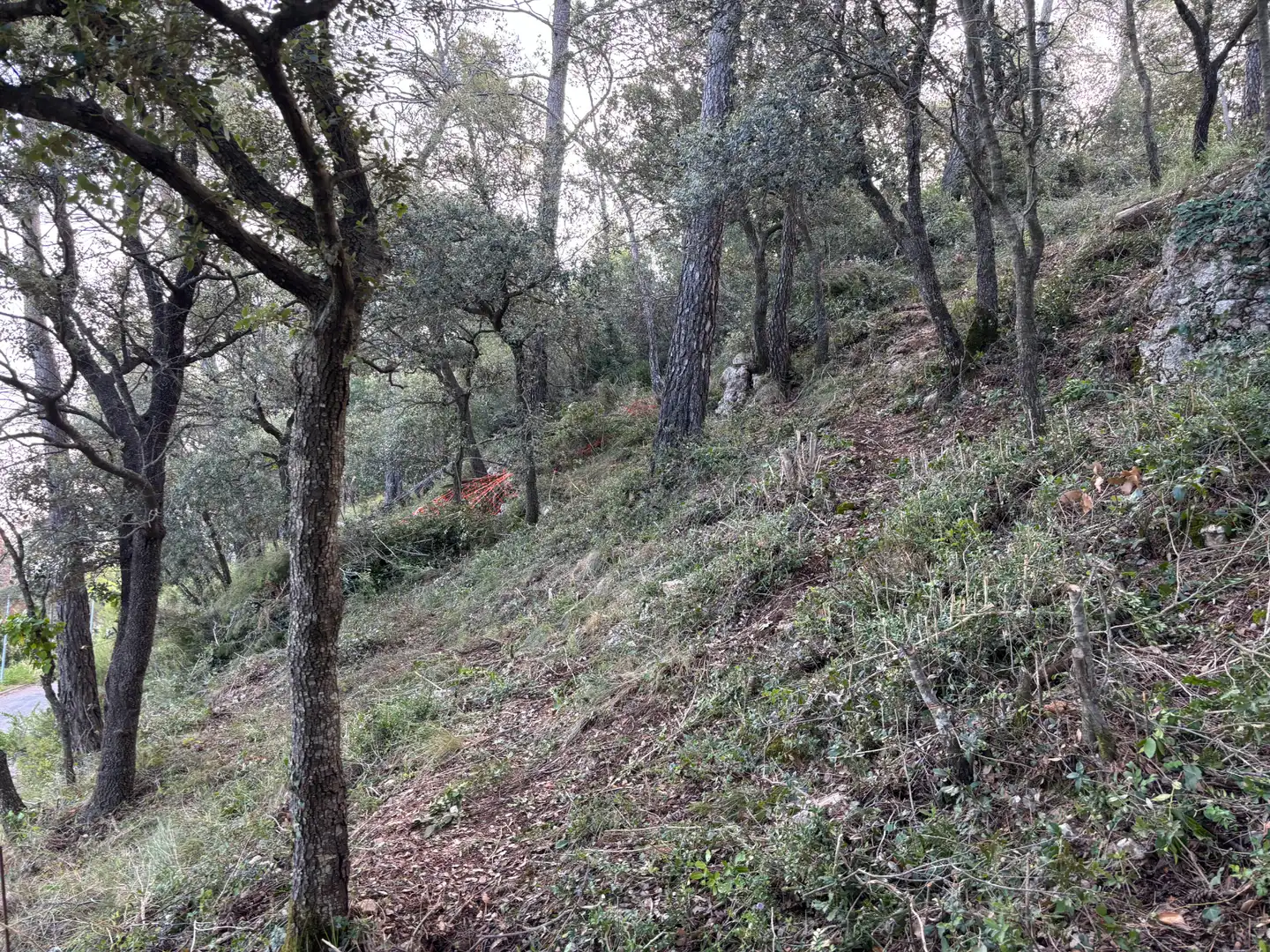Residential land for sale in Carrer Pasarell, imagen 24