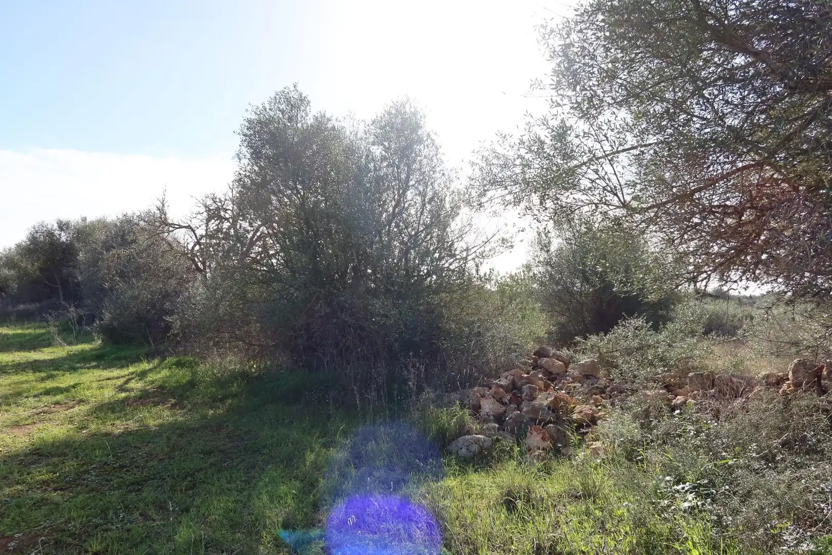 Residential land for sale in Campos poble, imagen 16