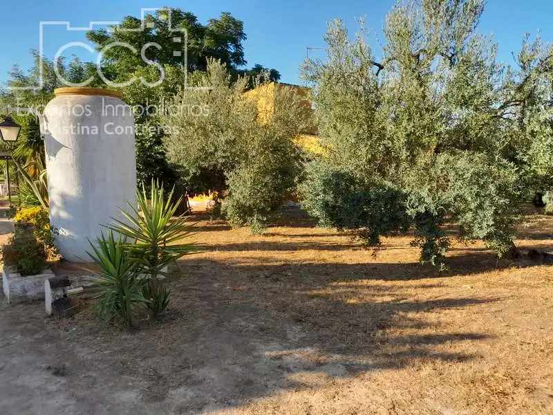 Jardí de Finca rústica en venda en Rociana del Condado amb Terrassa, Traster i Piscina