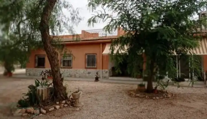 Vista exterior de Casa o chalet en venta en Elche / Elx con Jardín privado