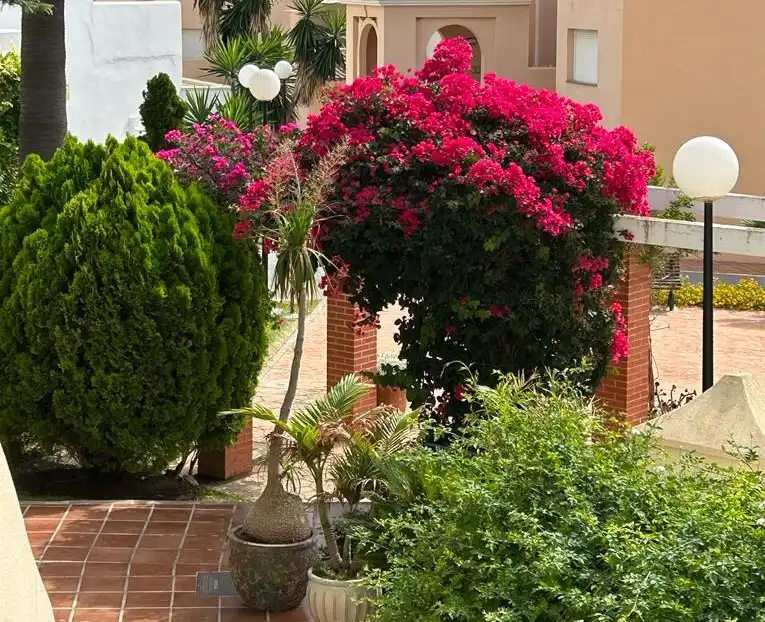 Garden of Duplexes for rent in Casares  with Air Conditioner, Heating and Terrace