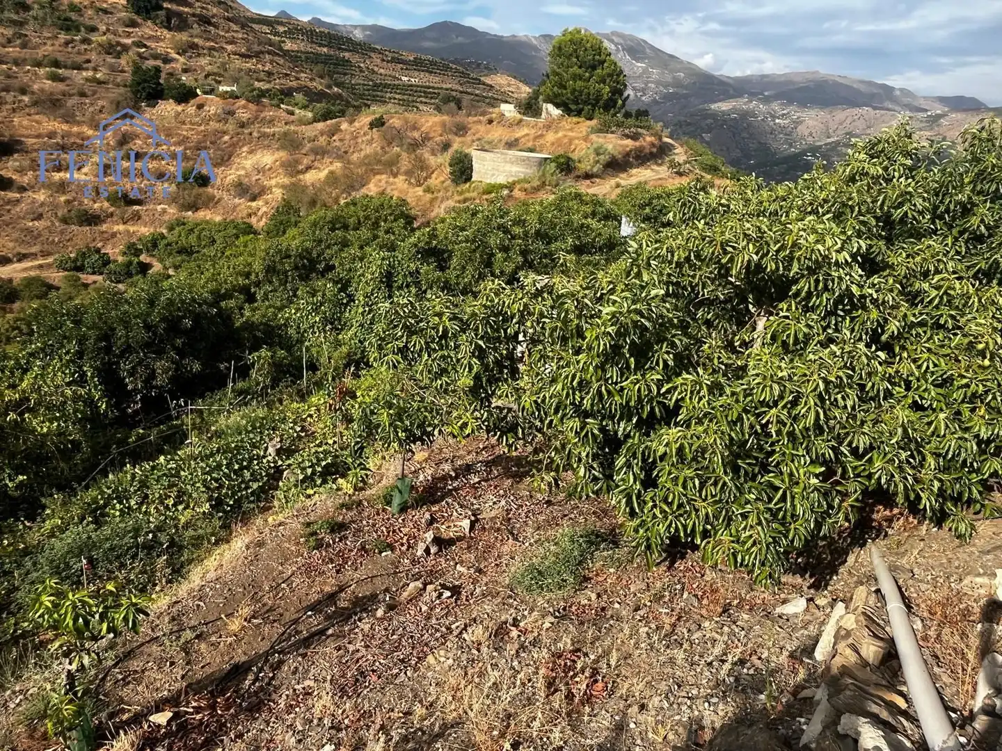 Terreno en venta en Almuñécar