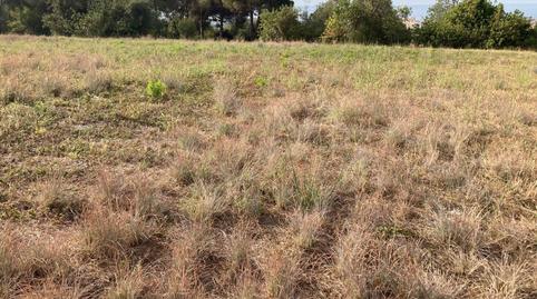 Photo 2 of Land for sale in Carrer de L'onyar, Can Carreras - Montessol, Pineda de Mar