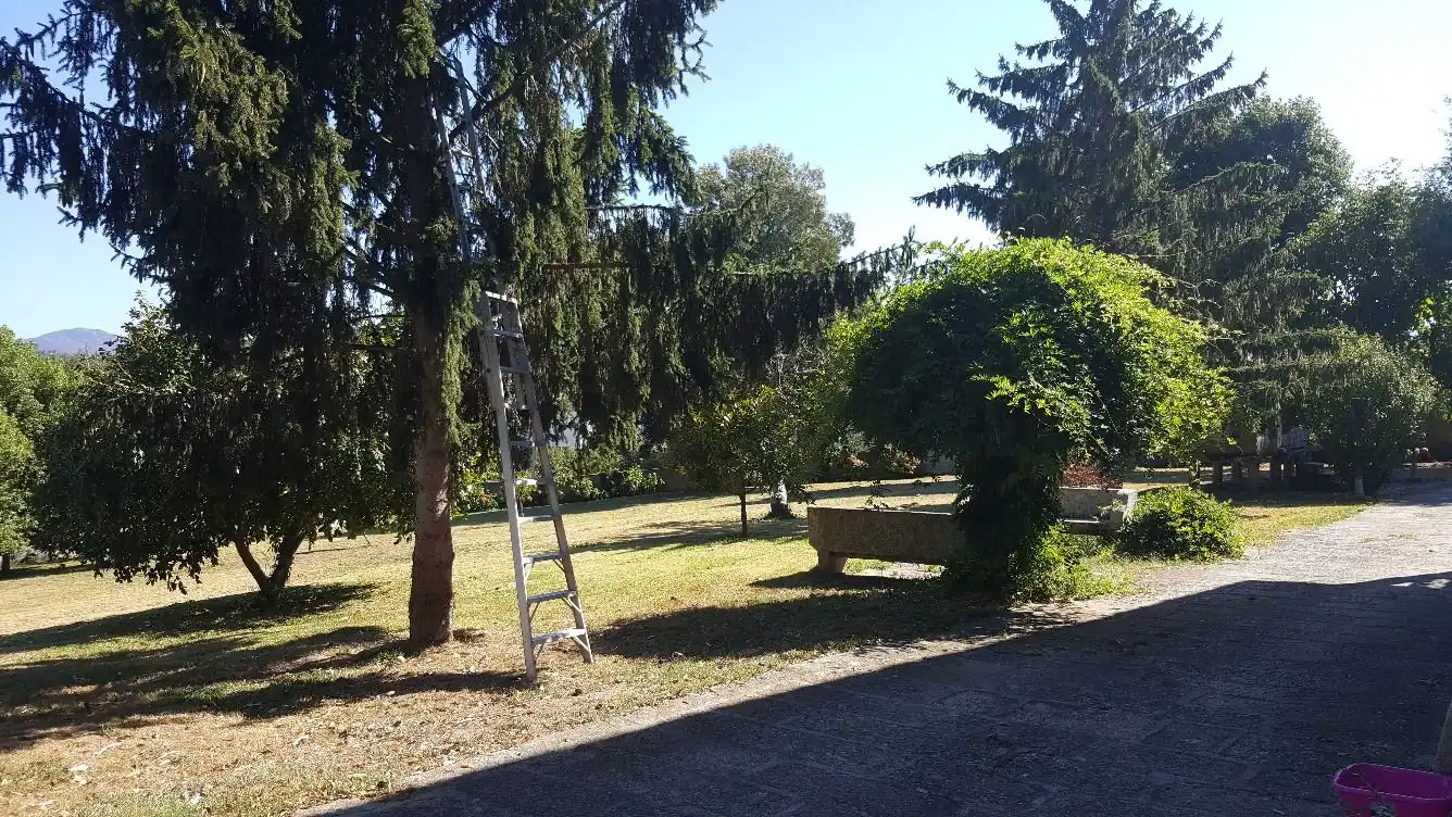 Finca rústica en venda a Panxón