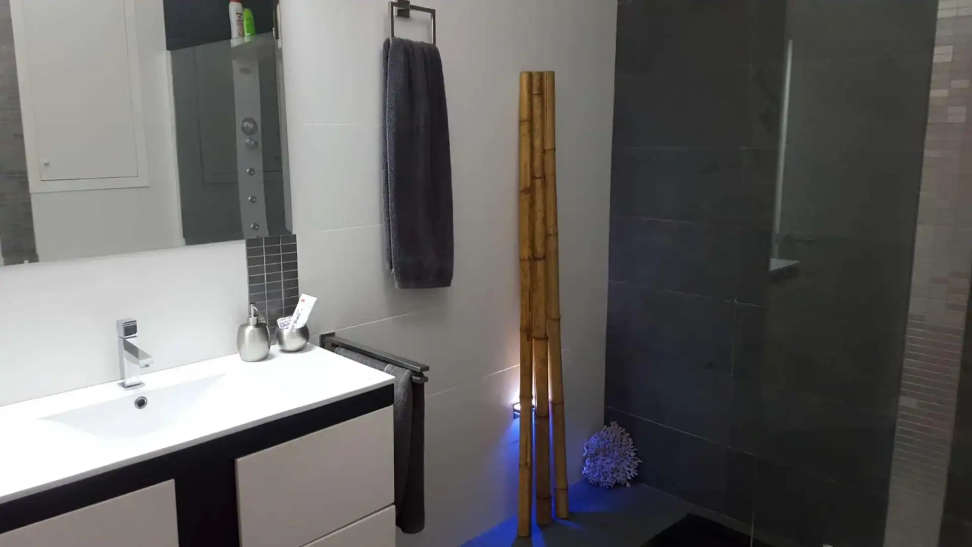 Bathroom of Flat for rent in Alicante / Alacant  with Air Conditioner, Heating and Furnished
