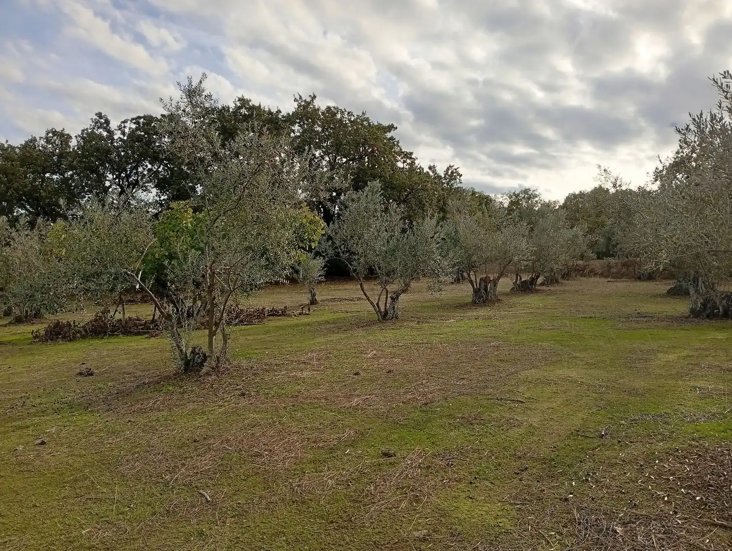 Terreni e lotti in vendita a Villanueva de la Vera, imagen 18