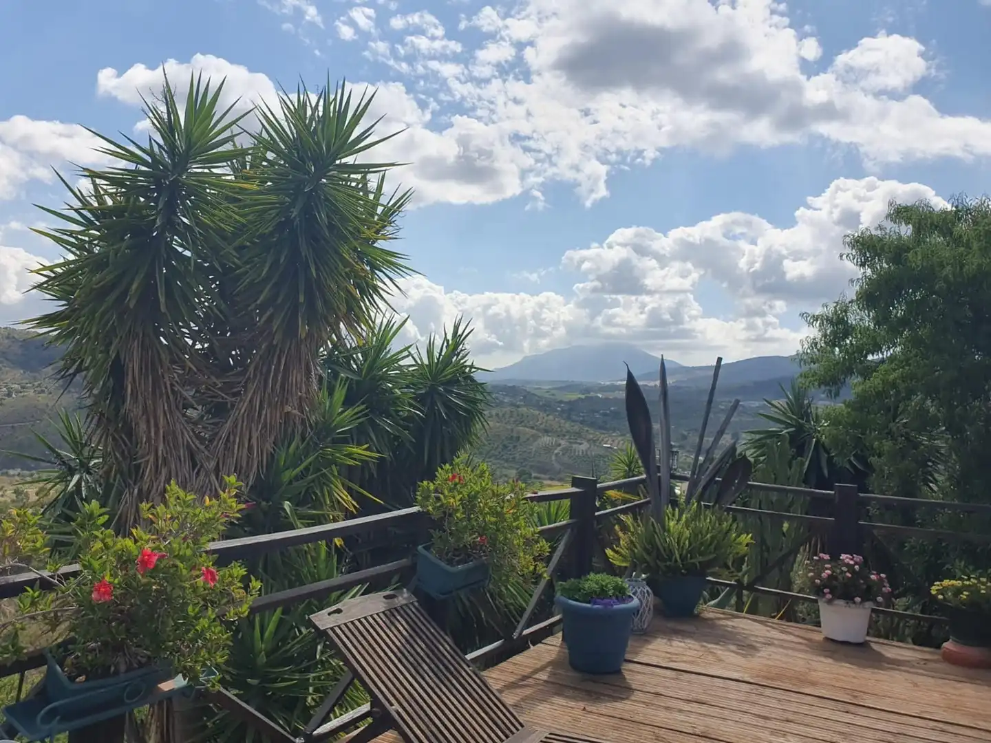 Country homes for sale in Monda