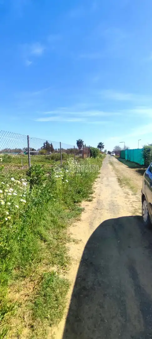 Terreno en venta en Alcalá de Guadaira