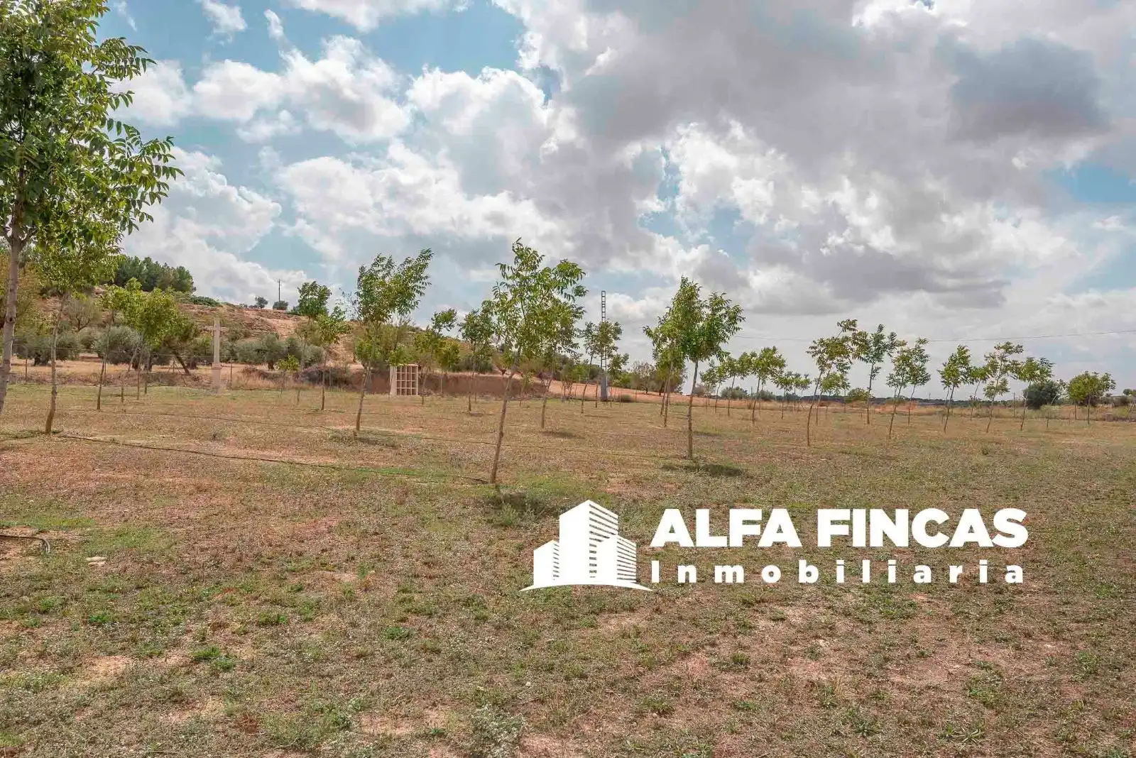 Casa o chalet en venta en Vara de Rey con Calefacción, Terraza y Piscina