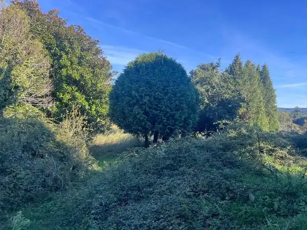 Residential land for sale in Lugar Fontenla, imagen 8