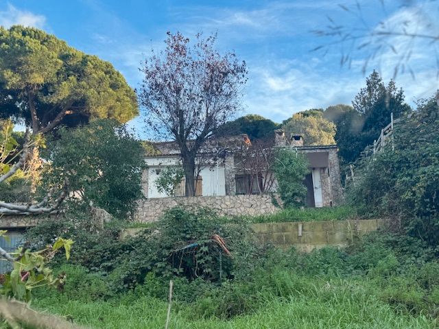 Exterior view of House or chalet for sale in Tordera  with Private garden and Terrace